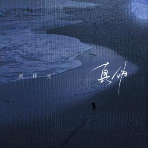 国产语音成人影院
